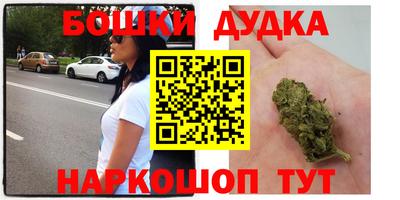 амф Дубна