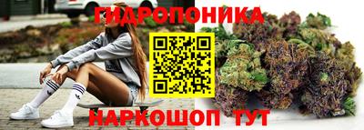 амф Дубна